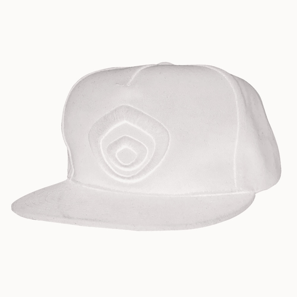 CAPS Logo Quiver